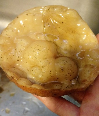 SCOBY (2).jpg